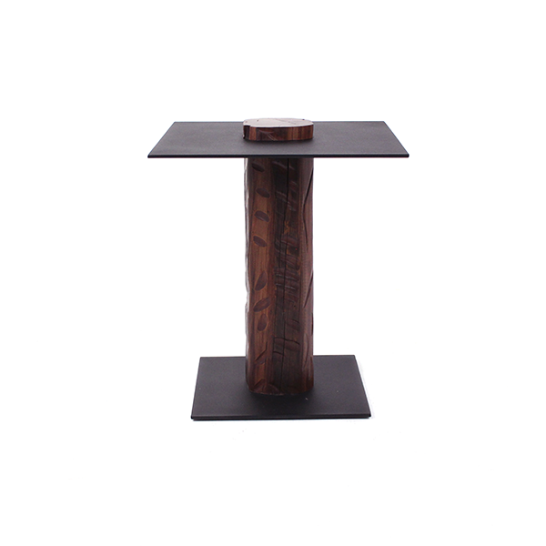 mesa_lateral_tronco1